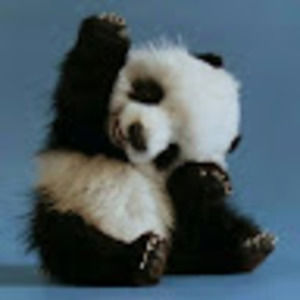 Meet your Posher, Tonia t